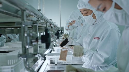 玫好綻放，膠融向新 2026年平陰縣特色產業新聞發布會側記